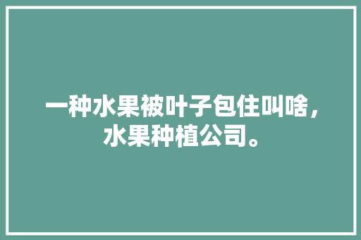 一种水果被叶子包住叫啥，水果种植公司。