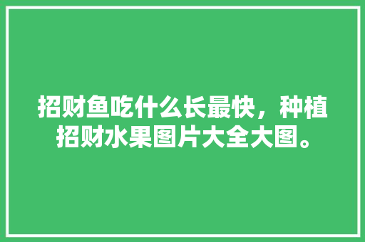 招财鱼吃什么长最快，种植招财水果图片大全大图。 招财鱼吃什么长最快，种植招财水果图片大全大图。 蔬菜种植