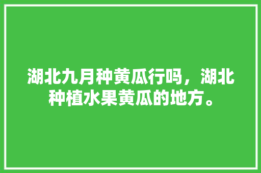 湖北九月种黄瓜行吗，湖北种植水果黄瓜的地方。 畜牧养殖