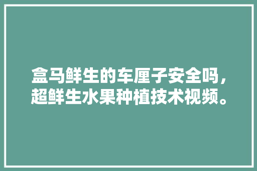 盒马鲜生的车厘子安全吗，超鲜生水果种植技术视频。