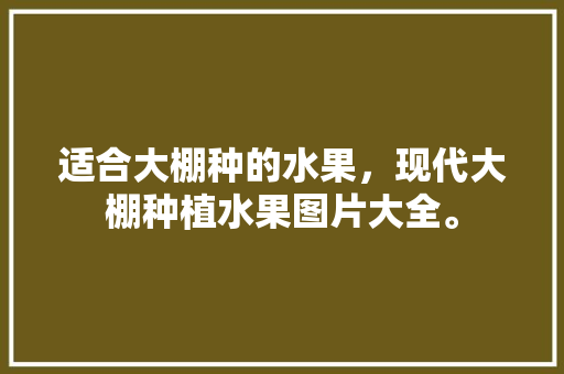 适合大棚种的水果，现代大棚种植水果图片大全。 土壤施肥