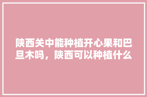 陕西关中能种植开心果和巴旦木吗，陕西可以种植什么水果品种。