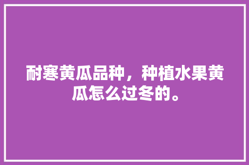 耐寒黄瓜品种，种植水果黄瓜怎么过冬的。