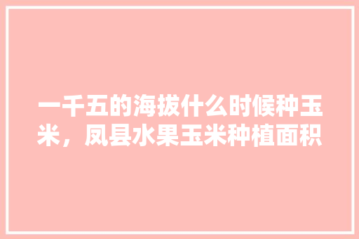 一千五的海拔什么时候种玉米，凤县水果玉米种植面积。