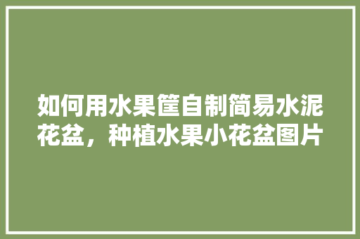 如何用水果筐自制简易水泥花盆，种植水果小花盆图片大全。 如何用水果筐自制简易水泥花盆，种植水果小花盆图片大全。 蔬菜种植