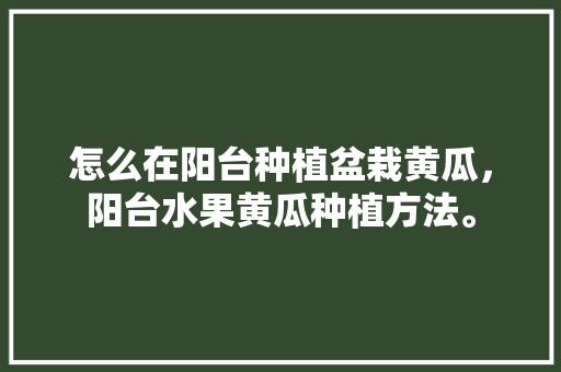 怎么在阳台种植盆栽黄瓜，阳台水果黄瓜种植方法。 畜牧养殖