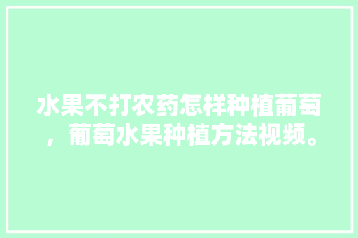 水果不打农药怎样种植葡萄，葡萄水果种植方法视频。