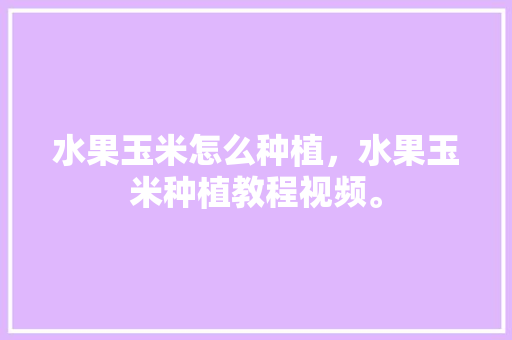 水果玉米怎么种植，水果玉米种植教程视频。