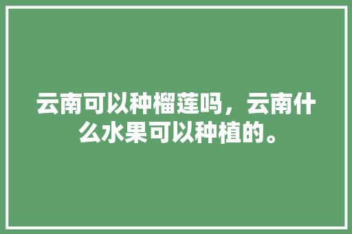 云南可以种榴莲吗，云南什么水果可以种植的。