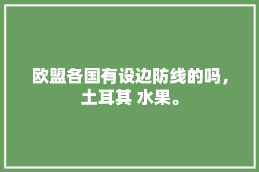 欧盟各国有设边防线的吗，土耳其 水果。