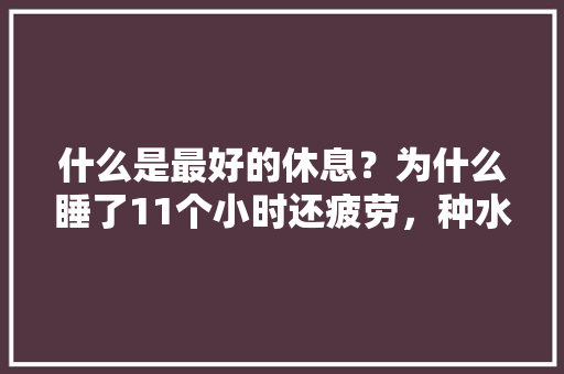 什么是最好的休息？为什么睡了11个小时还疲劳，种水果怎么画。