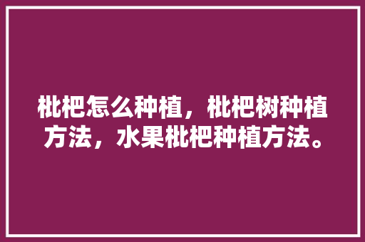 枇杷怎么种植，枇杷树种植方法，水果枇杷种植方法。