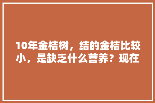 10年金桔树，结的金桔比较小，是缺乏什么营养？现在正是开花时，金桔种植什么水果最好。