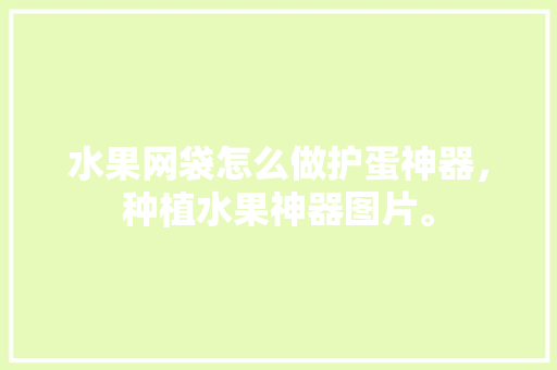 水果网袋怎么做护蛋神器，种植水果神器图片。