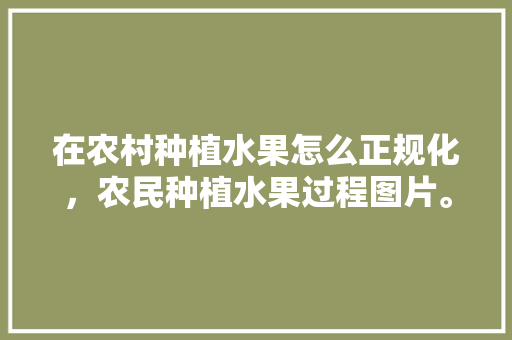 在农村种植水果怎么正规化，农民种植水果过程图片。