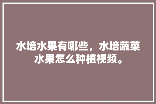 水培水果有哪些，水培蔬菜水果怎么种植视频。