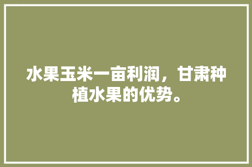 水果玉米一亩利润，甘肃种植水果的优势。