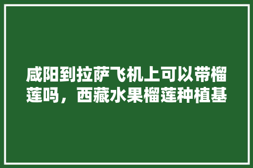 咸阳到拉萨飞机上可以带榴莲吗，西藏水果榴莲种植基地在哪里。