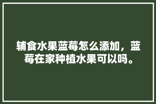 辅食水果蓝莓怎么添加，蓝莓在家种植水果可以吗。