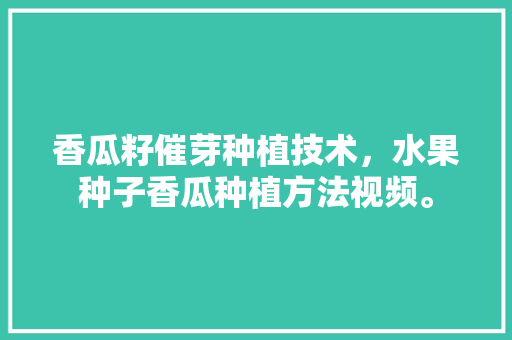 香瓜籽催芽种植技术，水果种子香瓜种植方法视频。 土壤施肥