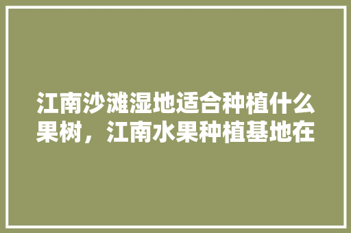 江南沙滩湿地适合种植什么果树，江南水果种植基地在哪。 蔬菜种植