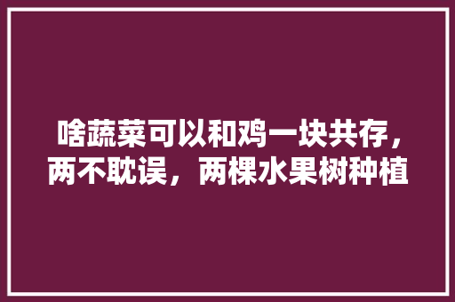 啥蔬菜可以和鸡一块共存，两不耽误，两棵水果树种植视频教程全集。