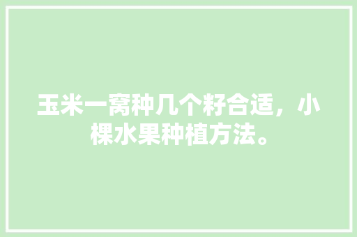 玉米一窝种几个籽合适，小棵水果种植方法。