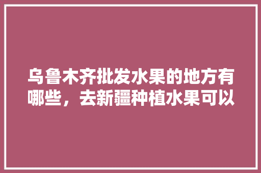 乌鲁木齐批发水果的地方有哪些，去新疆种植水果可以吗。