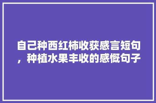 自己种西红柿收获感言短句，种植水果丰收的感慨句子。 水果种植