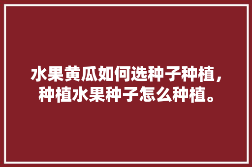 水果黄瓜如何选种子种植，种植水果种子怎么种植。