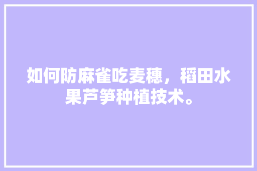 如何防麻雀吃麦穗，稻田水果芦笋种植技术。 如何防麻雀吃麦穗，稻田水果芦笋种植技术。 家禽养殖