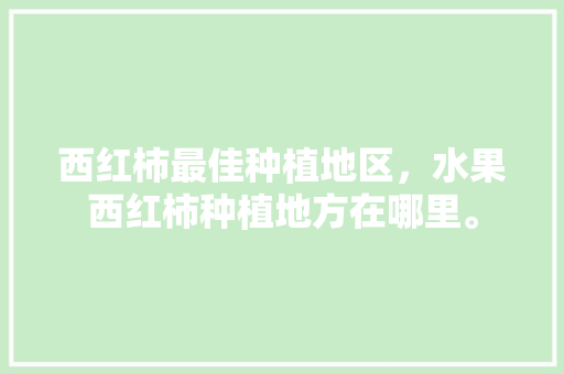 西红柿最佳种植地区，水果西红柿种植地方在哪里。