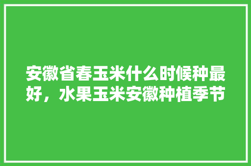 安徽省春玉米什么时候种最好，水果玉米安徽种植季节表。