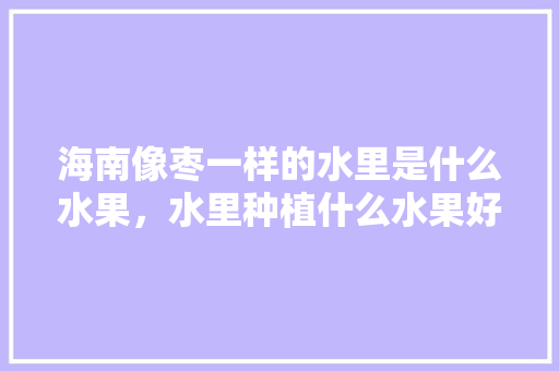 海南像枣一样的水里是什么水果，水里种植什么水果好看又好养。