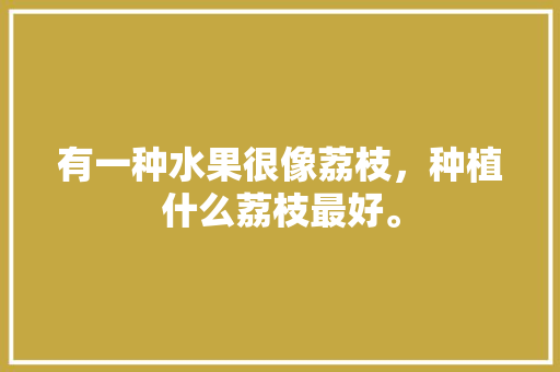 有一种水果很像荔枝，种植什么荔枝最好。