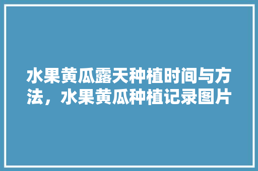 水果黄瓜露天种植时间与方法，水果黄瓜种植记录图片大全。 土壤施肥