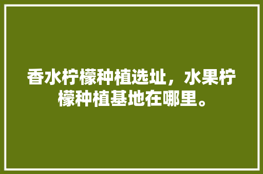 香水柠檬种植选址，水果柠檬种植基地在哪里。