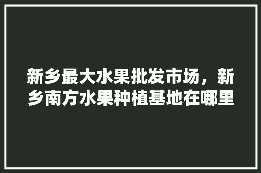 新乡最大水果批发市场，新乡南方水果种植基地在哪里。