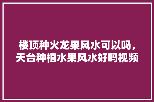 楼顶种火龙果风水可以吗，天台种植水果风水好吗视频。