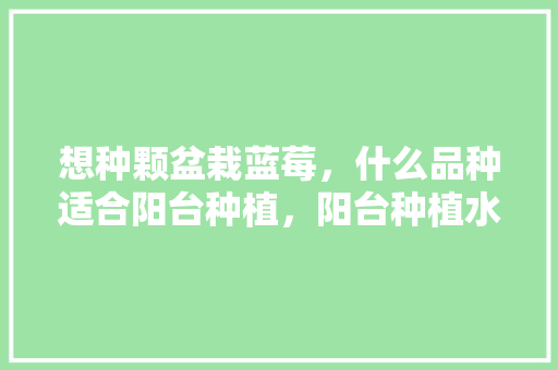 想种颗盆栽蓝莓，什么品种适合阳台种植，阳台种植水果盆栽蓝莓好吗。