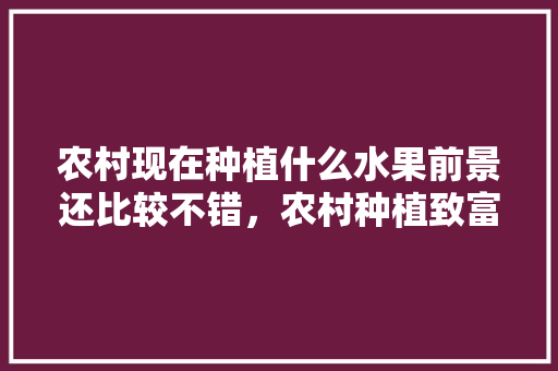 农村现在种植什么水果前景还比较不错，农村种植致富水果有哪些。