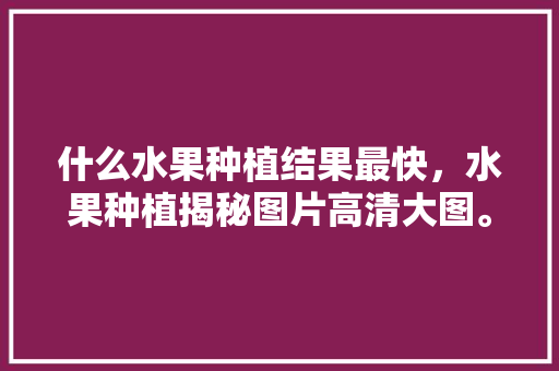 什么水果种植结果最快，水果种植揭秘图片高清大图。