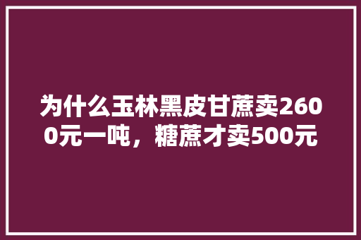 为什么玉林黑皮甘蔗卖2600元一吨，糖蔗才卖500元一吨，玉林的水果甘蔗种植在哪里。