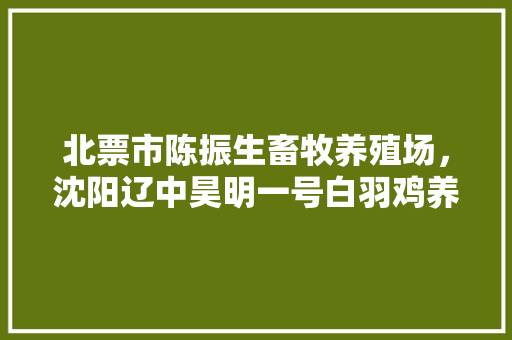 北票市陈振生畜牧养殖场，沈阳辽中昊明一号白羽鸡养殖场。 北票市陈振生畜牧养殖场，沈阳辽中昊明一号白羽鸡养殖场。 畜牧养殖