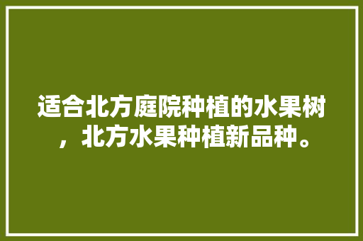 适合北方庭院种植的水果树，北方水果种植新品种。