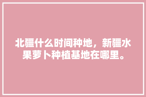 北疆什么时间种地，新疆水果萝卜种植基地在哪里。