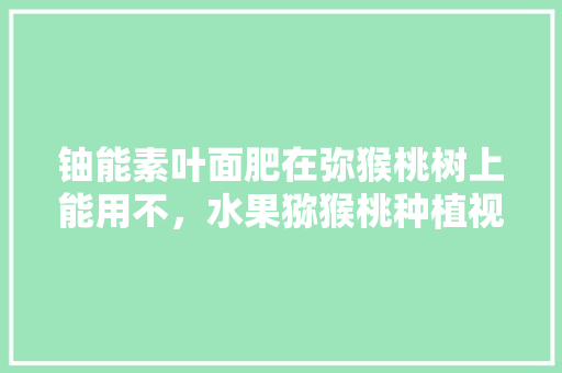 铀能素叶面肥在弥猴桃树上能用不，水果猕猴桃种植视频教程全集。