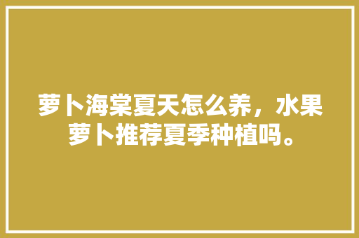 萝卜海棠夏天怎么养，水果萝卜推荐夏季种植吗。