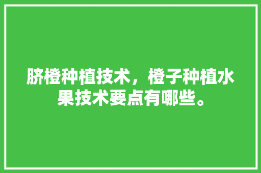 脐橙种植技术，橙子种植水果技术要点有哪些。