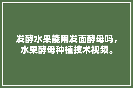 发酵水果能用发面酵母吗，水果酵母种植技术视频。